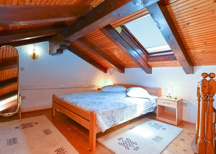 Marko 1377 * Porec